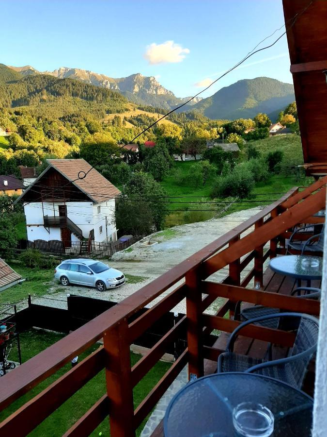 Milea'S Guesthouse Bran  Esterno foto