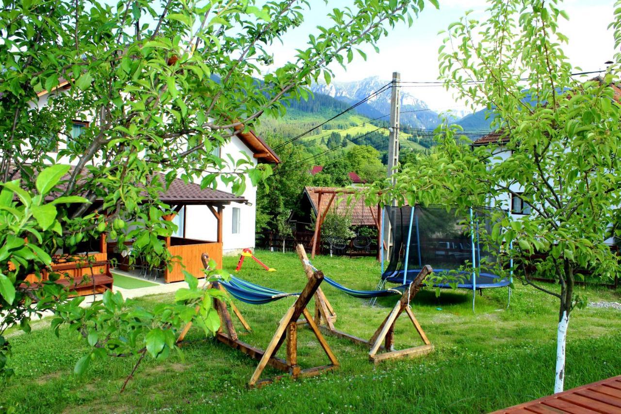 Milea'S Guesthouse Bran  Esterno foto
