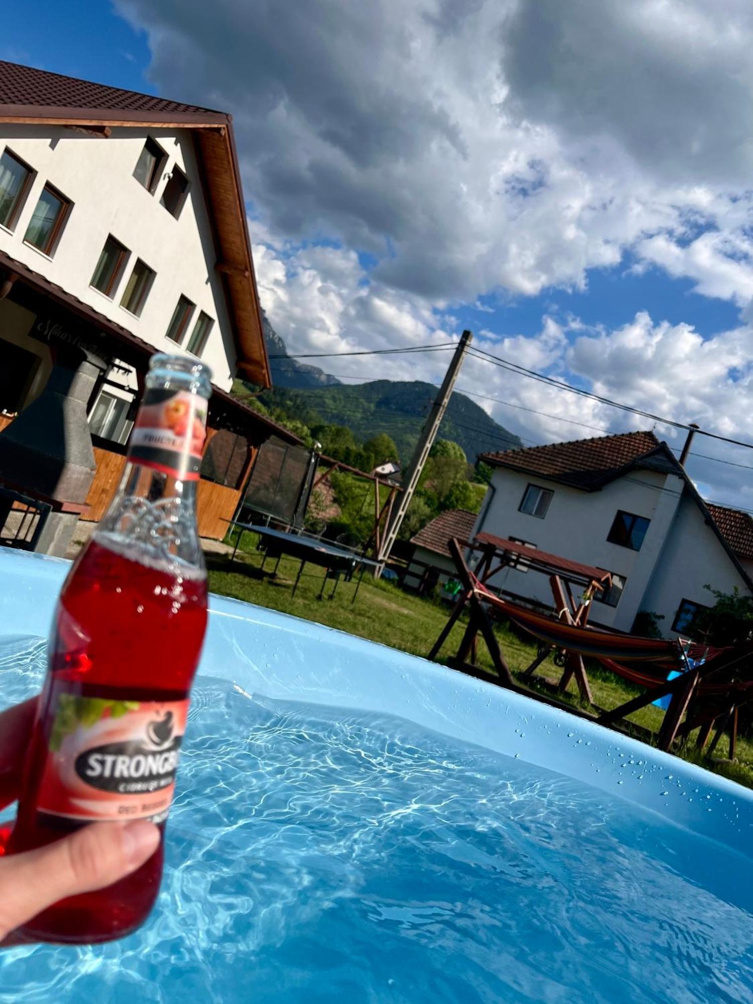 Milea'S Guesthouse Bran  Esterno foto